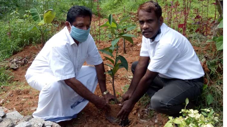 എം.പി വീരേന്ദ്രകുമാറിന്‍റെ സ്മരണക്കായി സ്മൃതി ഗാർഡൻ നിർമ്മിച്ചു